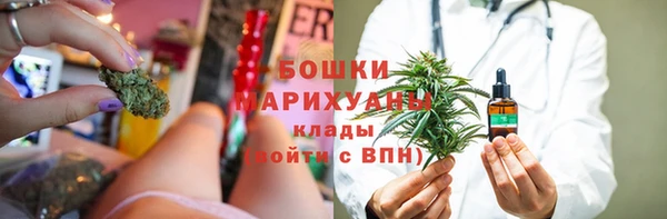 крисы Верея