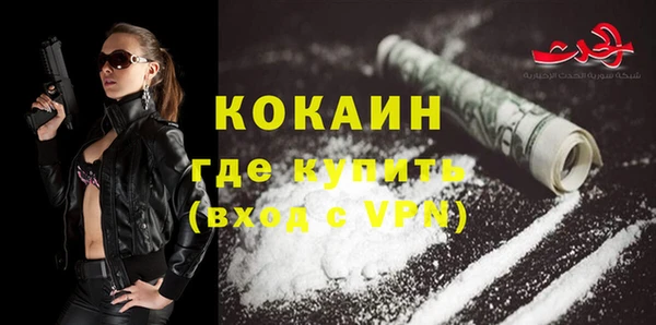 мдпв Верхний Тагил