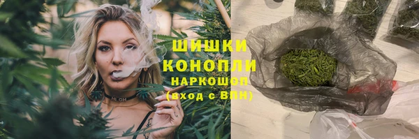 мдпв Верхний Тагил